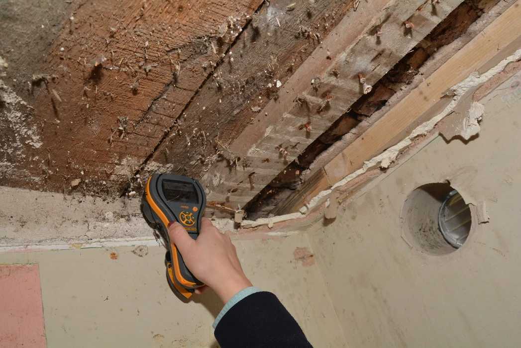 Primate Property Timber Decay & Moisture Investigation 2023 DSC 6652 resize