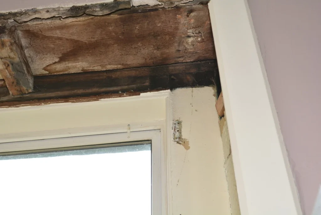 Primate Property Timber Decay & Moisture Investigation 2023 DSC 6669 resize