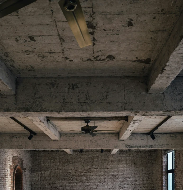 lisk obe XSsfBsSZOmo unsplash cropped